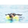KONG AIRDOG Bone Medium