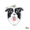 MEDAILLE BORDER COLLIE ID