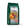 GRAINE DE PANICUM 1KG REF PP00323